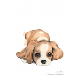 BABY KING CHARLES Carte A5